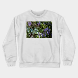 Sunlight On Wisteria Crewneck Sweatshirt